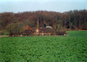 Blick auf Neuwhren II